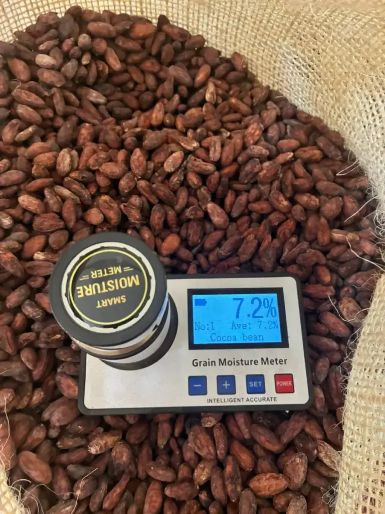 Pomiar jakości surowca: elektroniczny miernik wilgotności (Grain Moisture Meter) wskazujący optymalne 7.2% wilgotności wewnątrz worka z surowymi ziarnami kakao